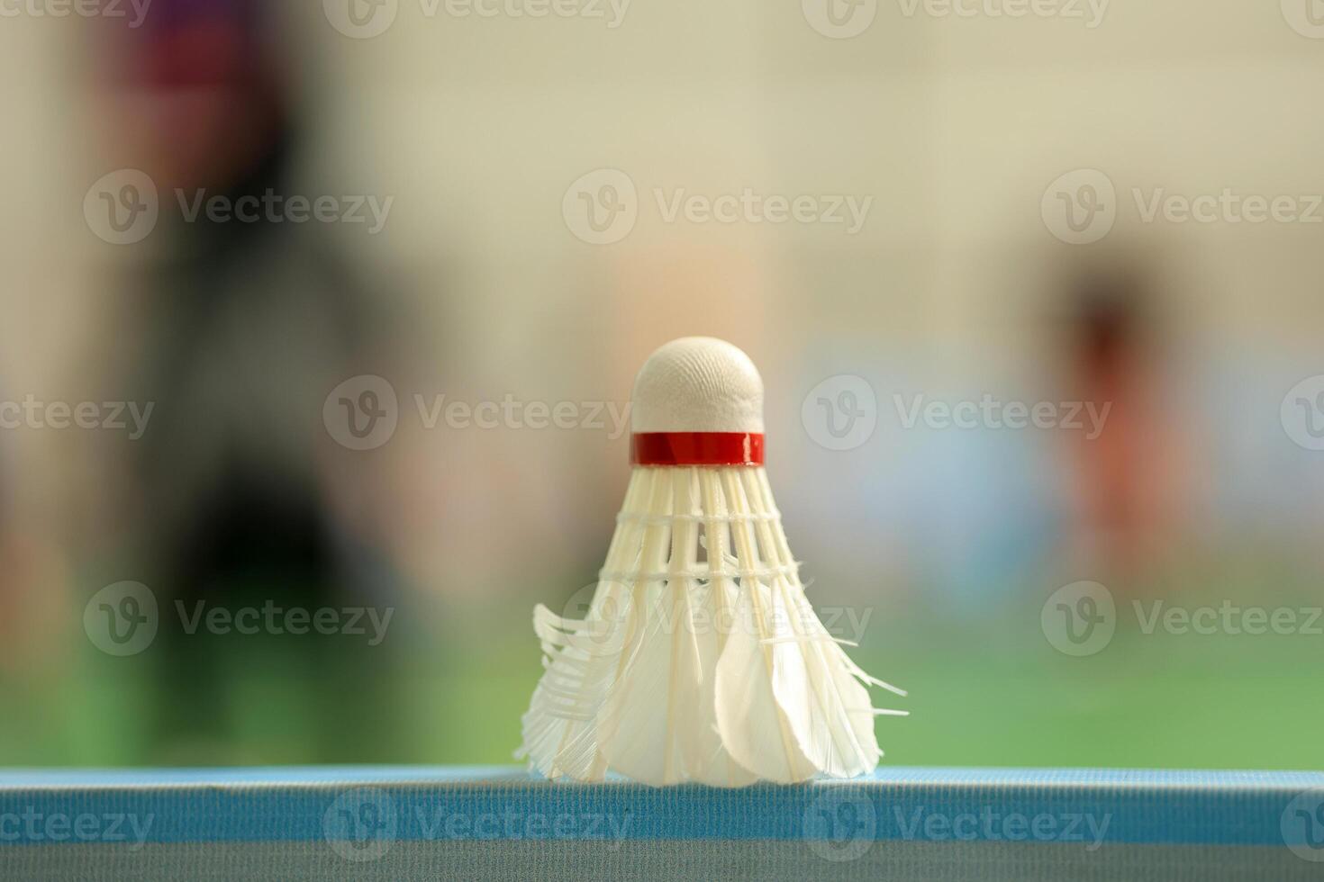 Badminton Shuttelcock with Court Background photo
