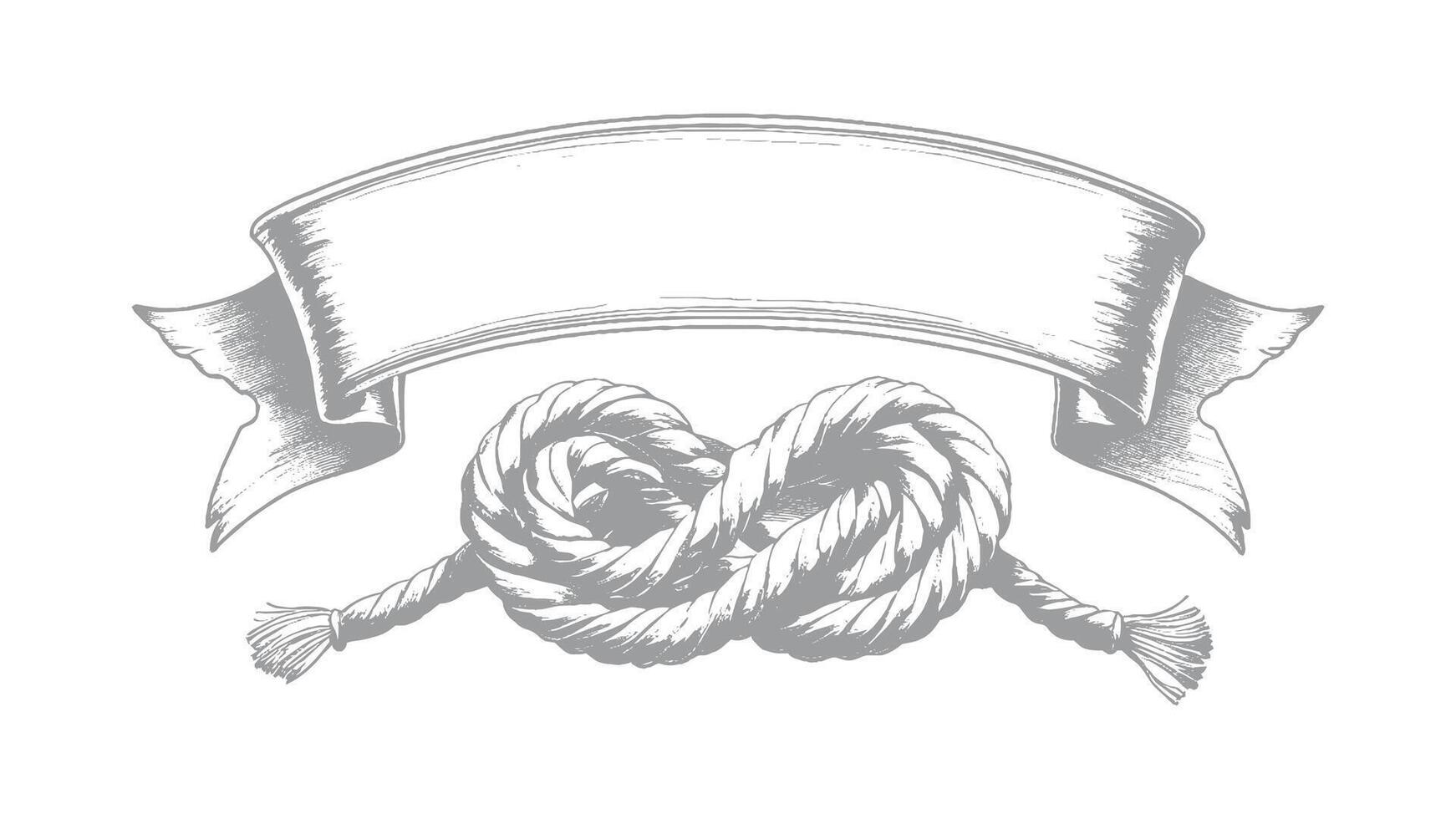 Elegant nautical knot design with ribbon banner vector