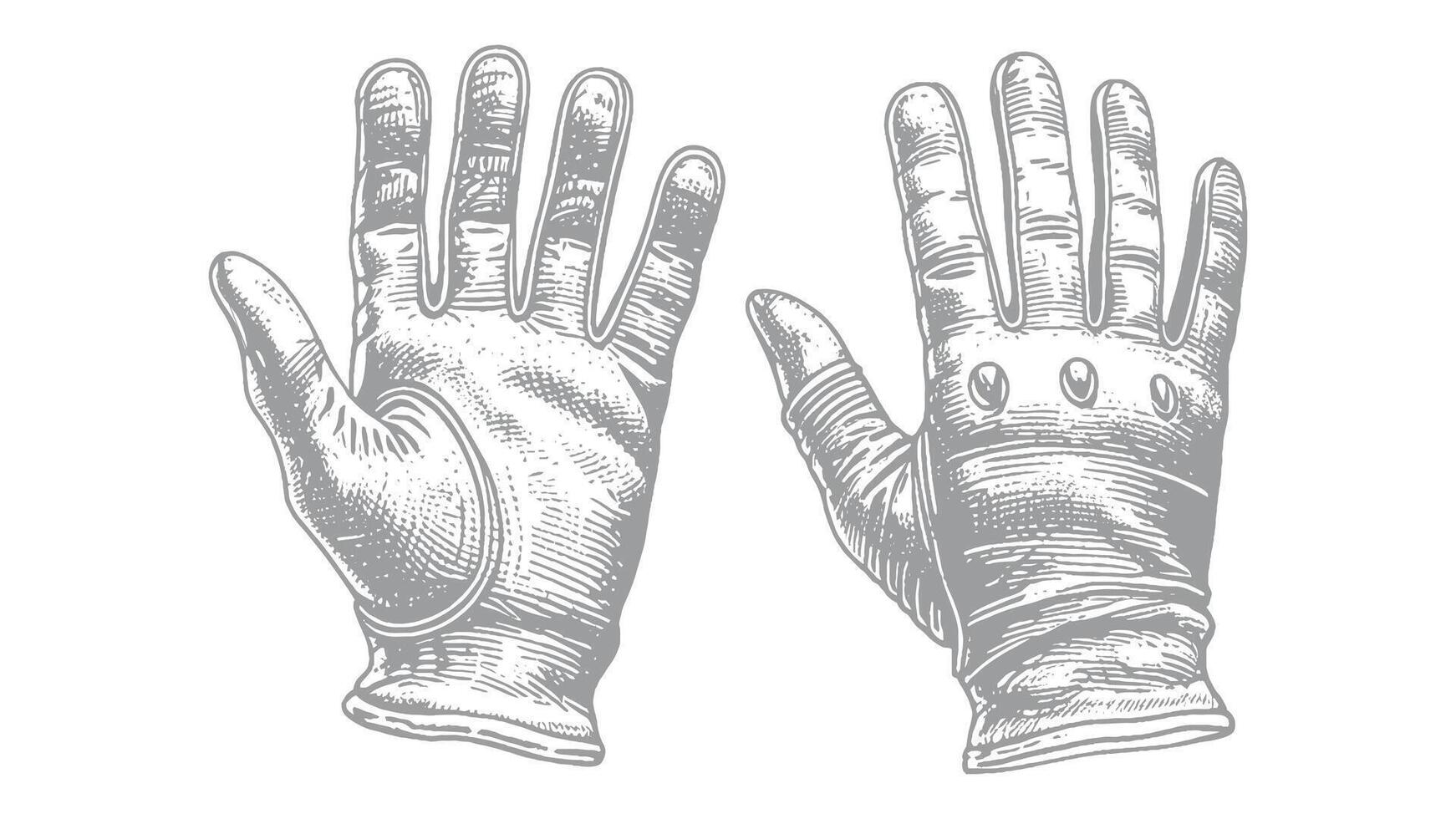 Detailed Engraved Illustration of a Pair of Leather Gloves vector