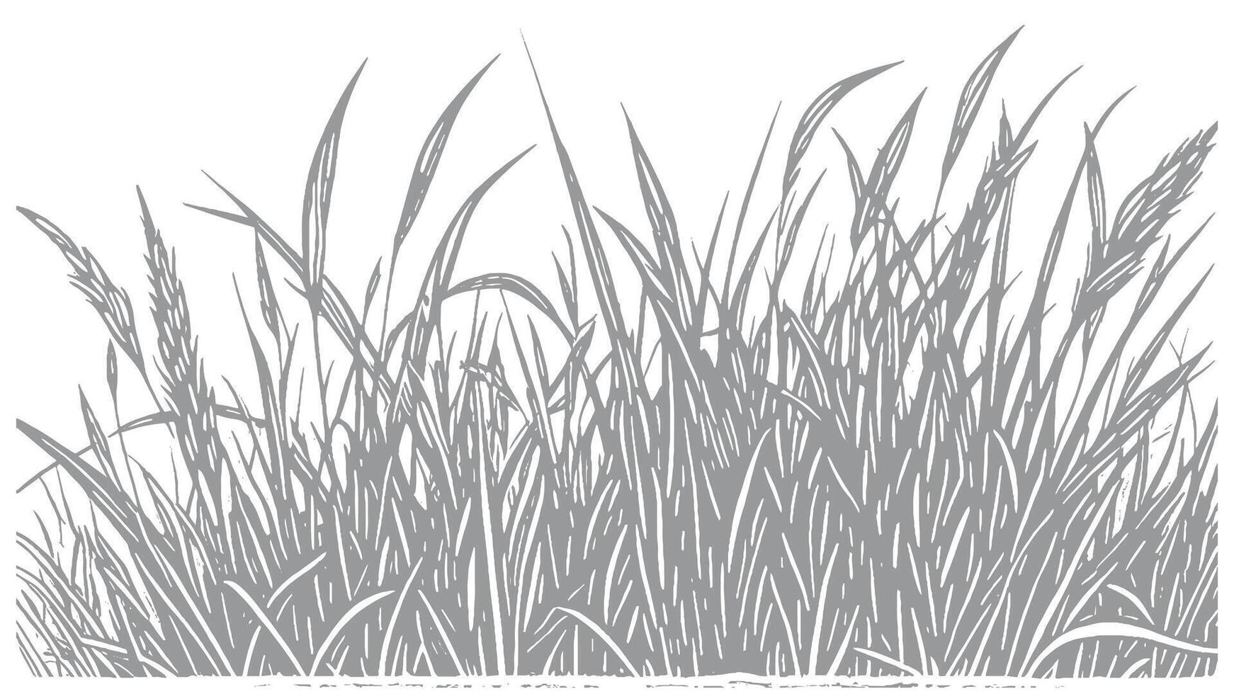 Detailed hand-drawn illustration of tall grass swaying in the wind vector