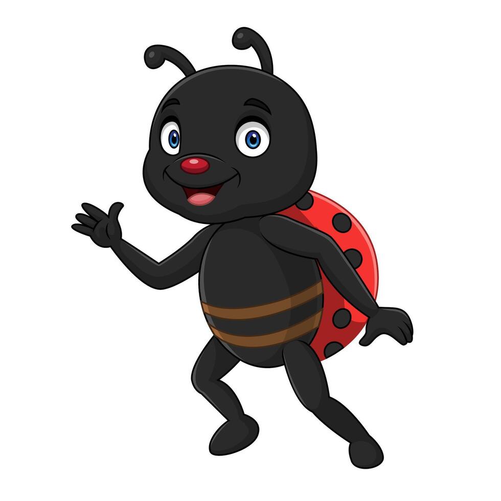 Cartoon ladybug insect isolated on white background vector