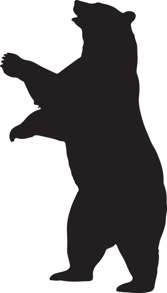 Wild Bear Silhouette Forest Animal vector