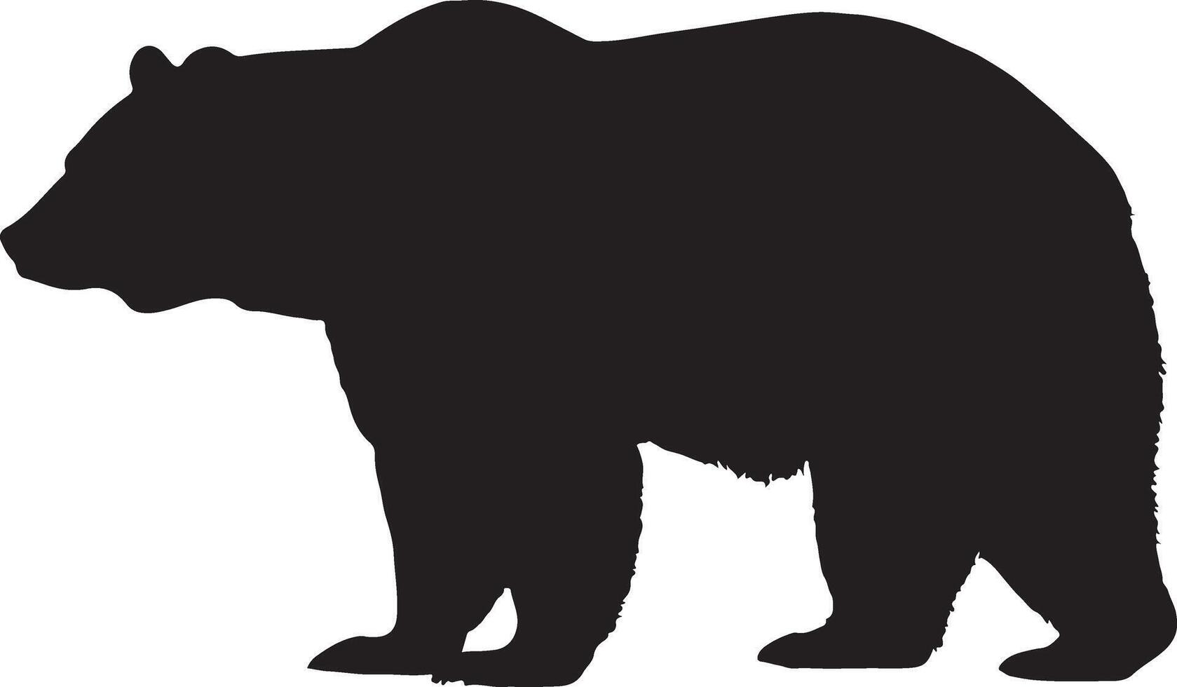 Bear Silhouette Isolated on White Background vector
