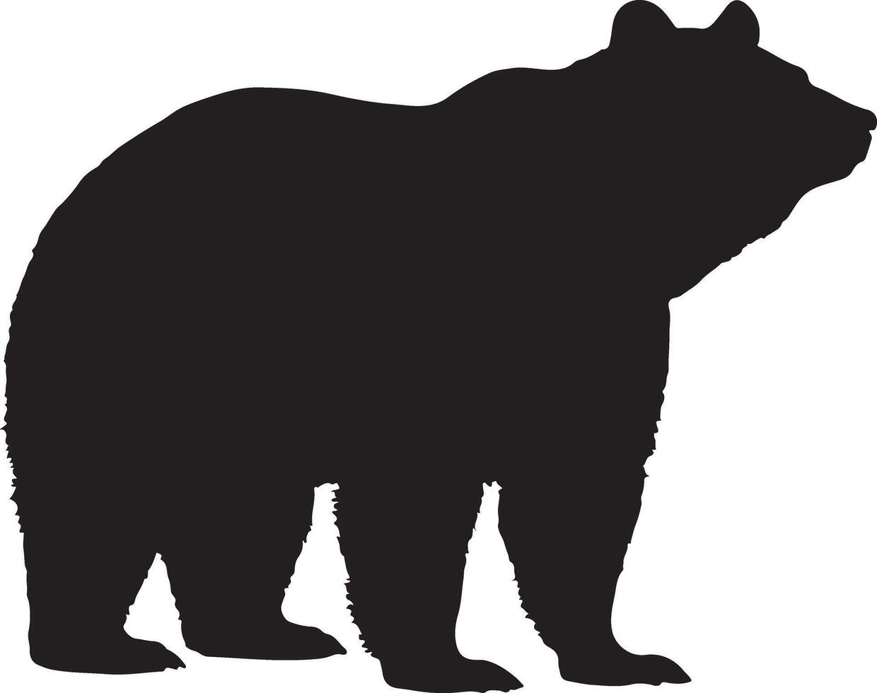 Realistic Bear Silhouette Illustration vector