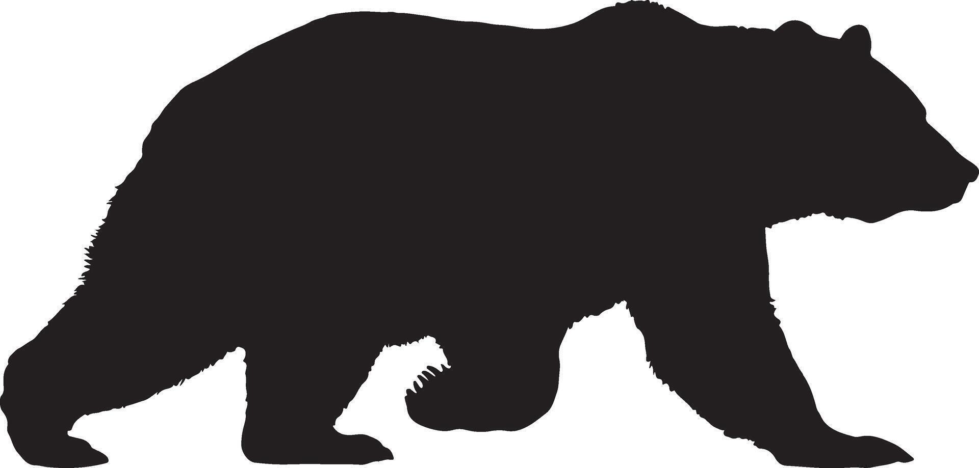 Walking Bear Silhouette Grizzly Animal Design vector