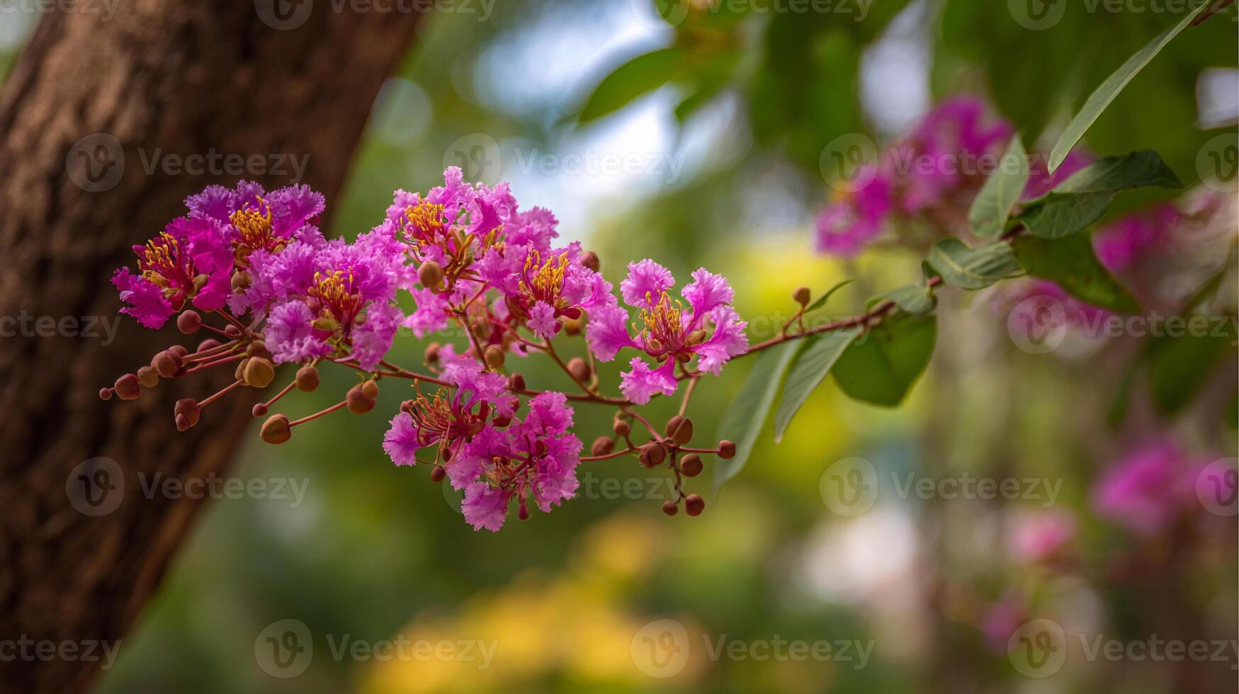 Radiant flower photo on tree against green leafy backdrop