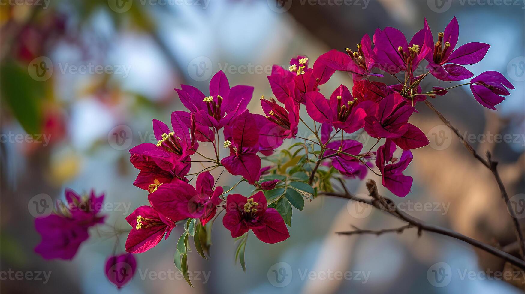 Richly colored flower photo on tree branch in perfect focus