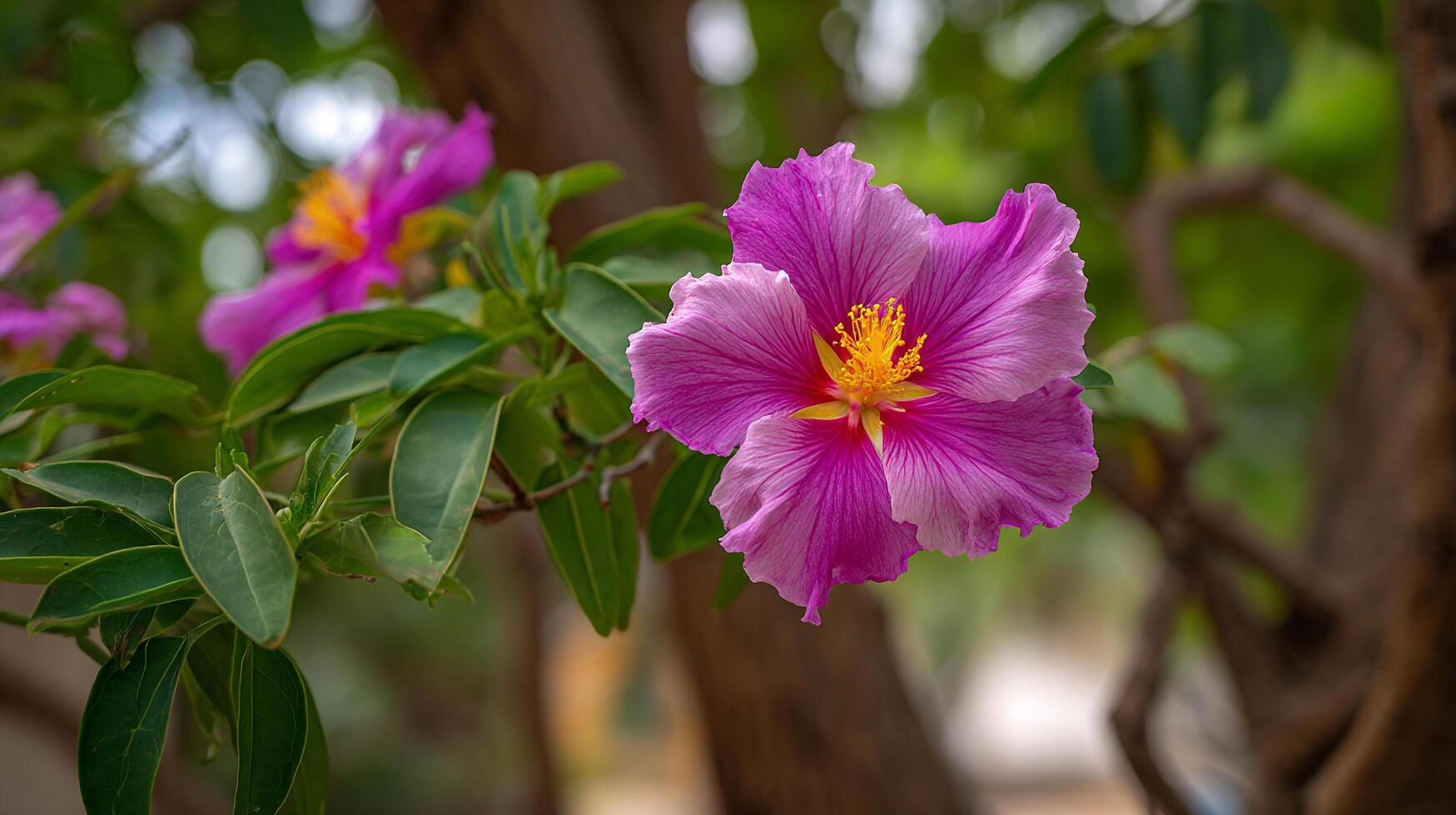 Colorful spring flower captured with lifelike outdoor clarity photo