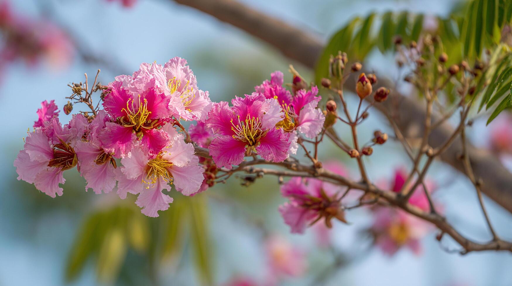 Sharp macro of flower blooming on tree branch in light photo