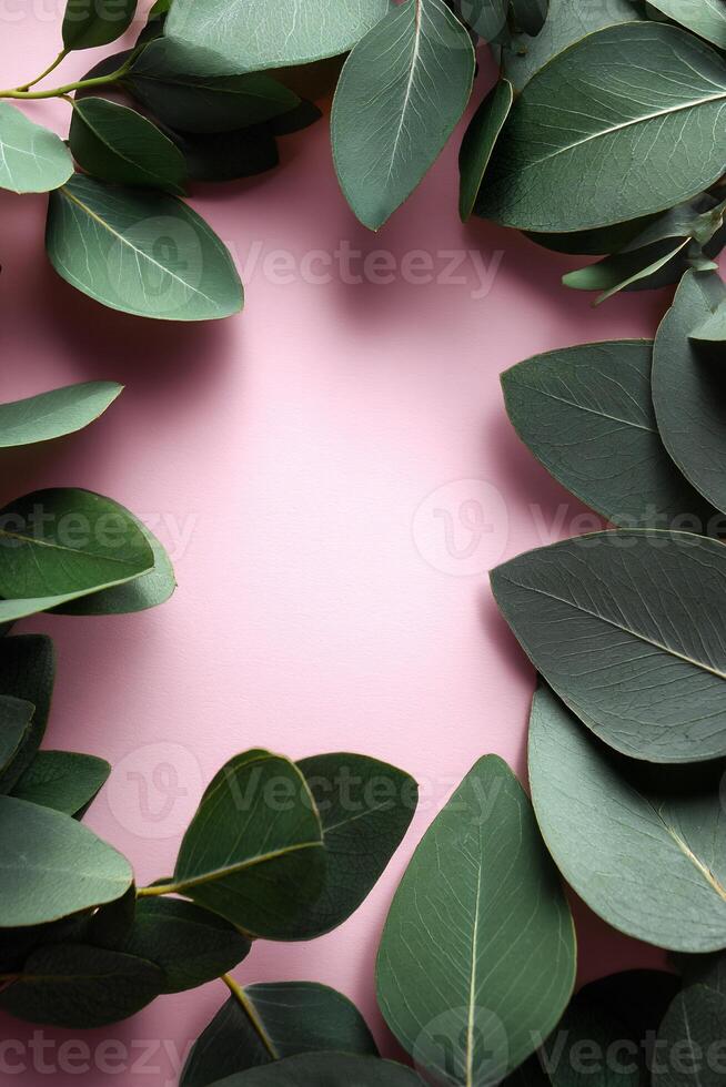 Frame of vibrant green eucalyptus leaves on a soft pink background photo