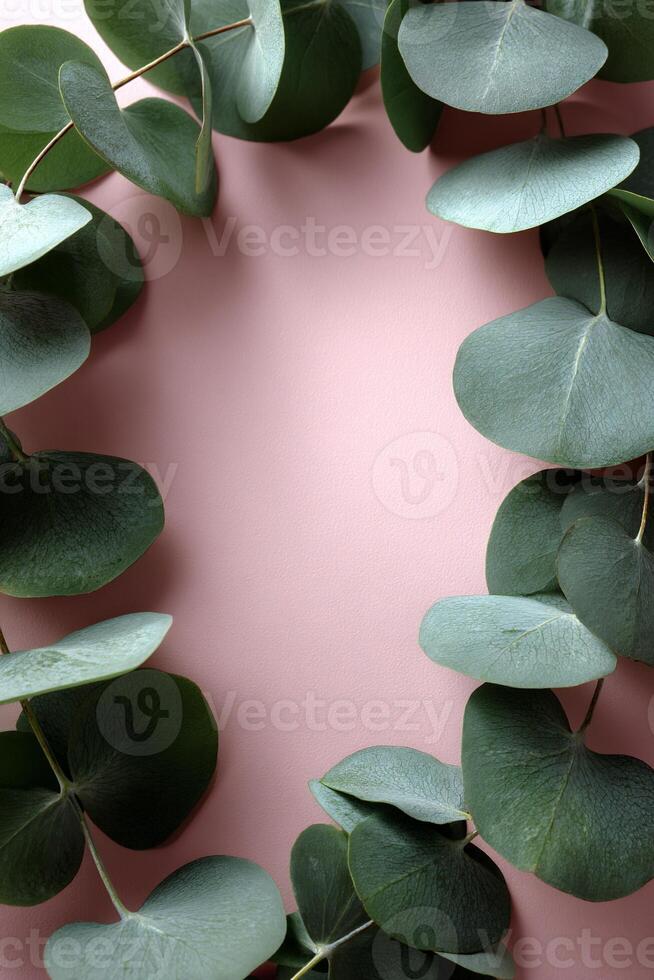 Oval frame of eucalyptus leaves on a pale pink background photo