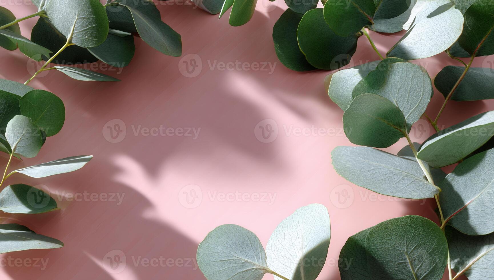 Eucalyptus leaves frame a pale pink background, soft shadows cast photo
