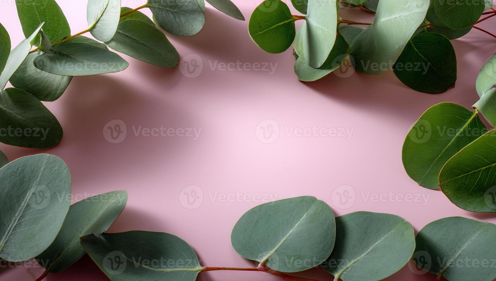 Eucalyptus leaves frame soft pink background photo