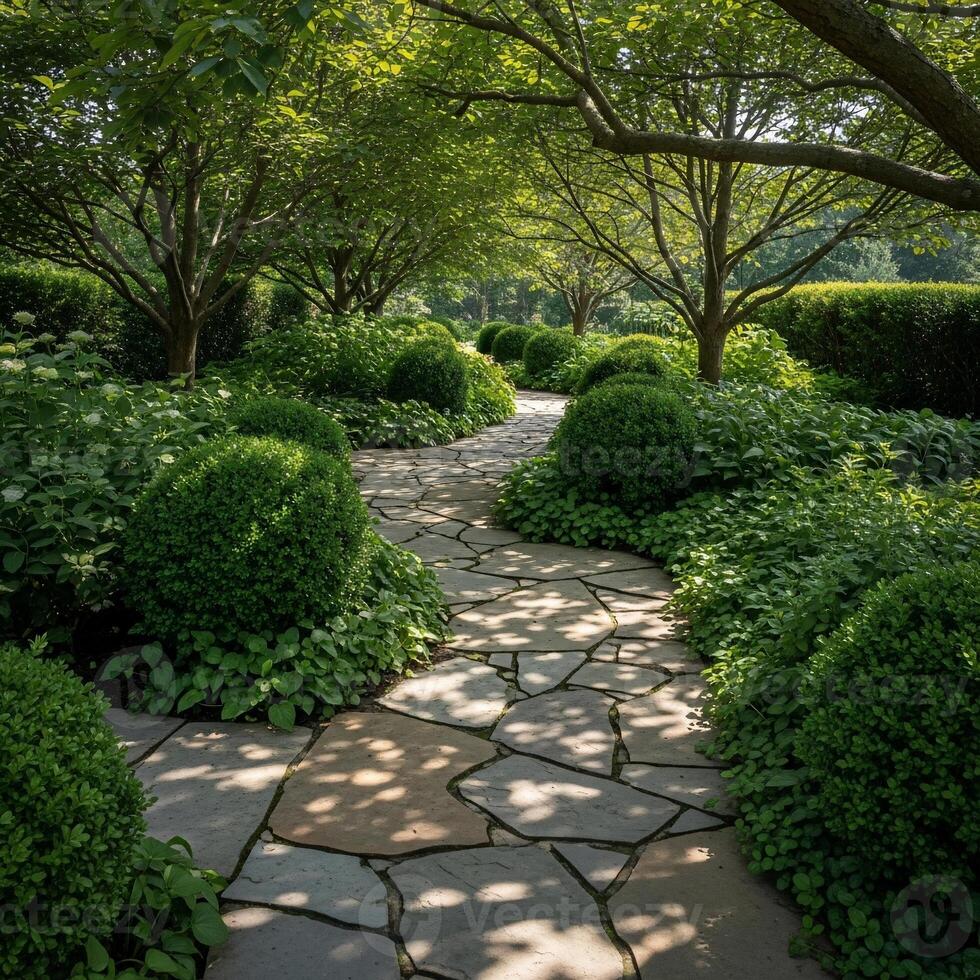 Serene garden path with flagstone, manicured shrubs, and dappled sunlight through trees photo