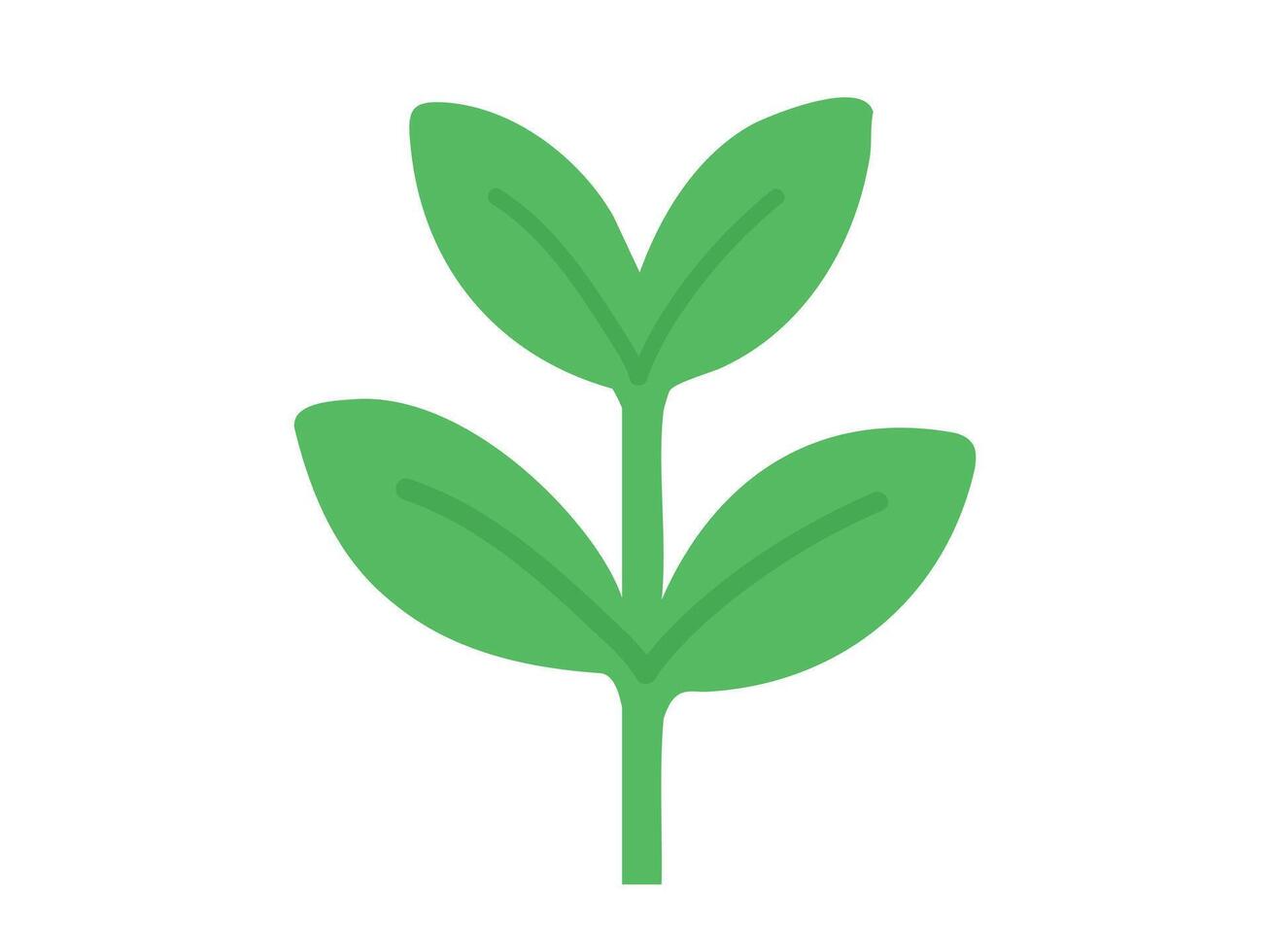 Green leafy plant with leaves isolated on white background, graphic illustration. concept of seedling, nature, botany, plant icon, eco-friendly design, herbal element, sapling vector