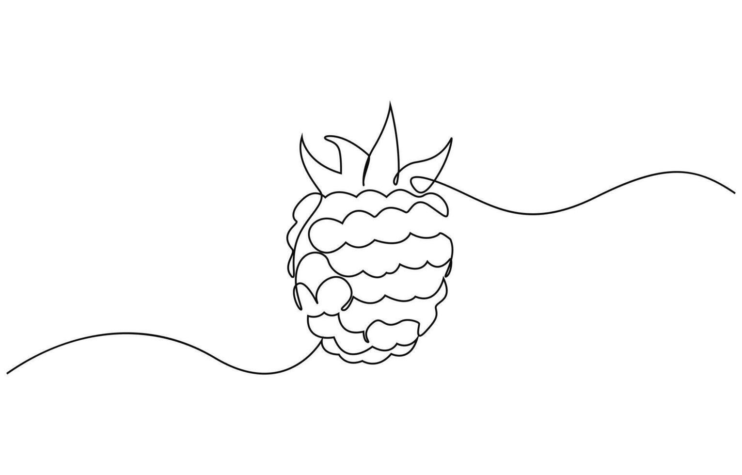 Continuous one line drawing. Raspberry berry fruit. Minimalist black linear sketch on white background, Pro design vector