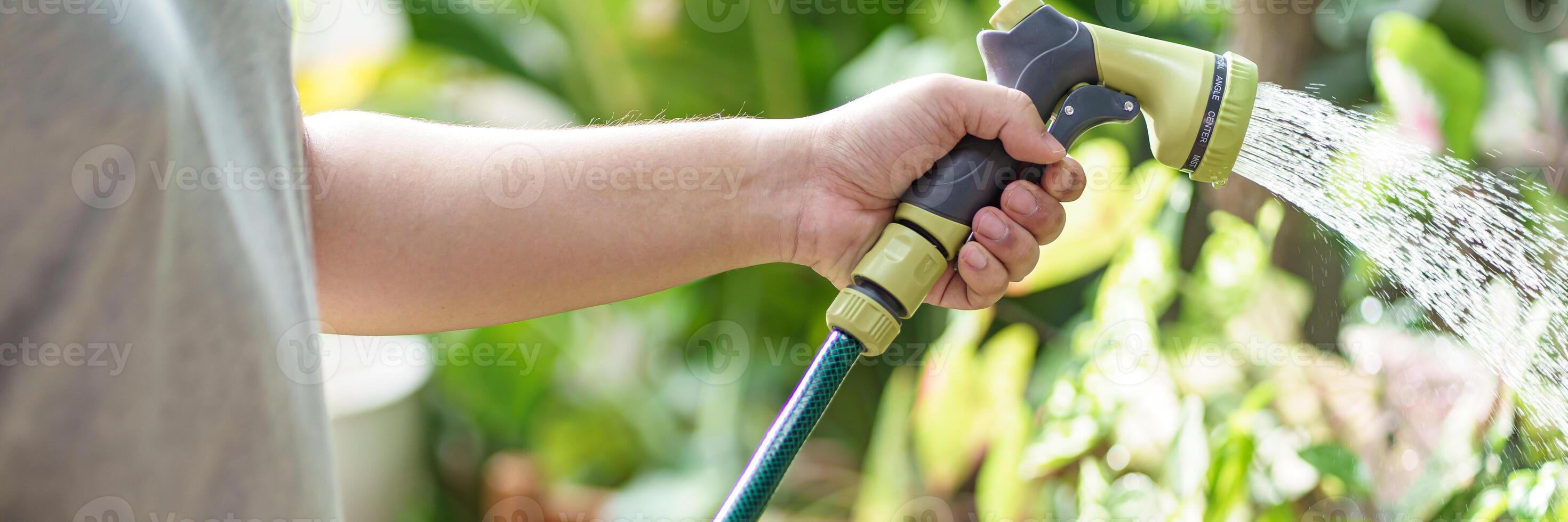 a person is watering a plant with a hose photo