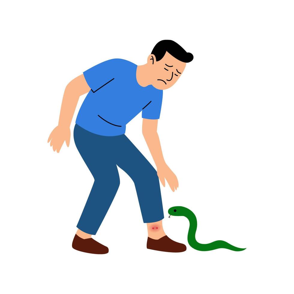 poisonous snake bite man concept. vector