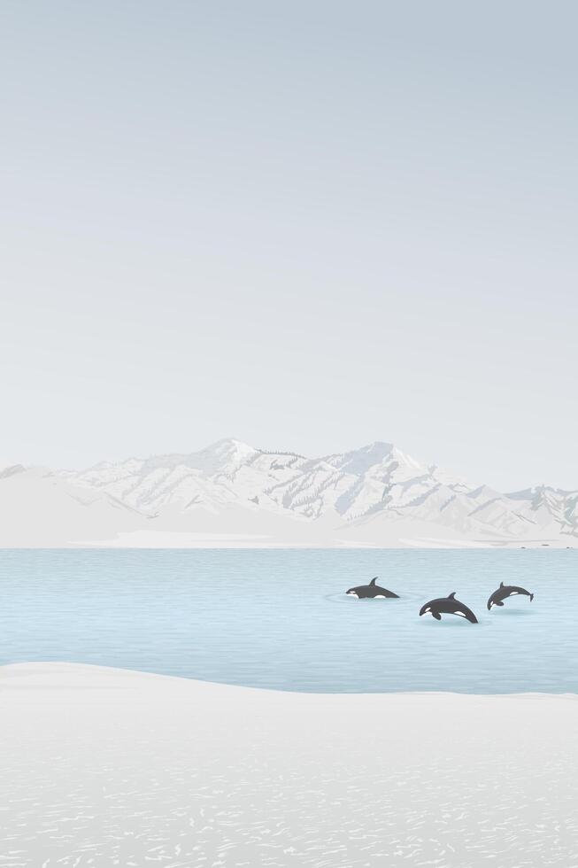 A pod of killer whales swims in the middle of the sea in winter with mountain ranges in the distance have dusk sky background graphic illustration. vector