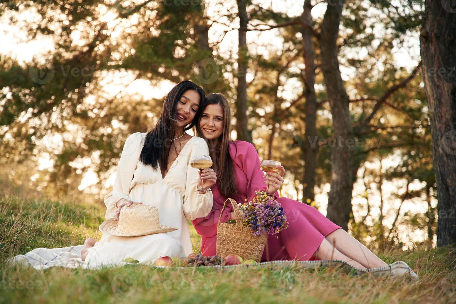 Lesbian couple is together, on, the ,picnic in nature photo