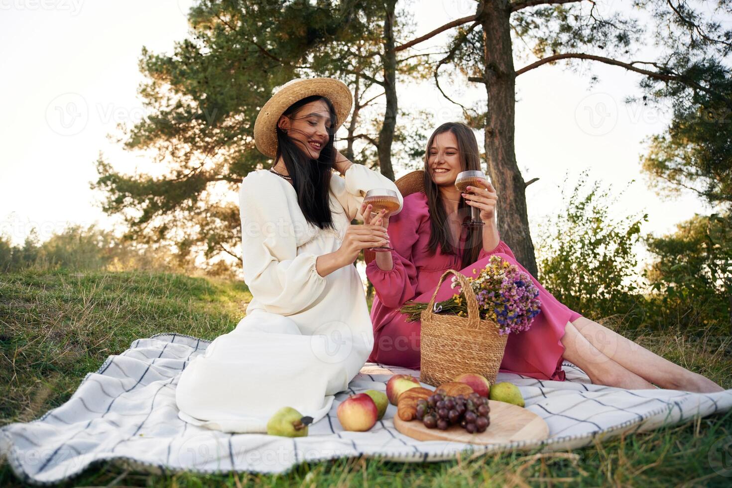 Weekend rest. Lesbian,, couple is together on the picnic in nature photo