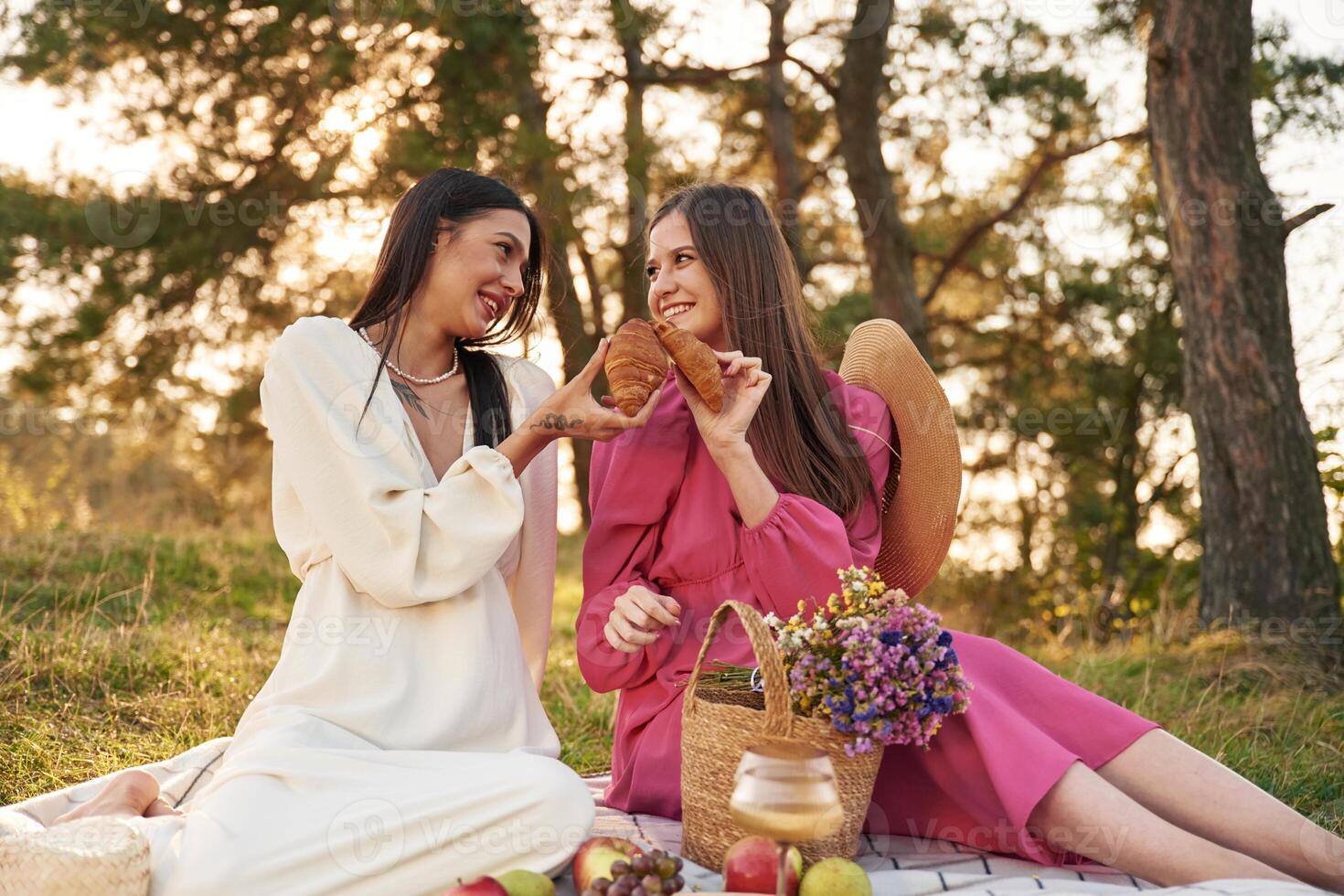 Lesbian ,couple is together on the picnic in nature photo