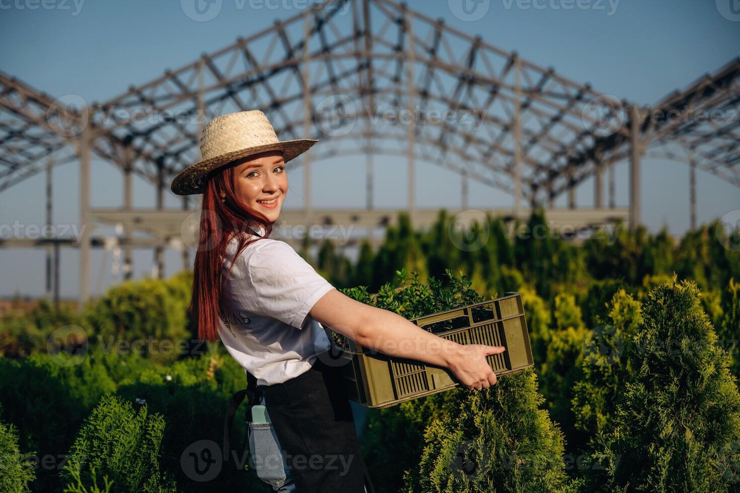 Side view, holding box with plants. ,Young redhead woman is taking care of garden photo