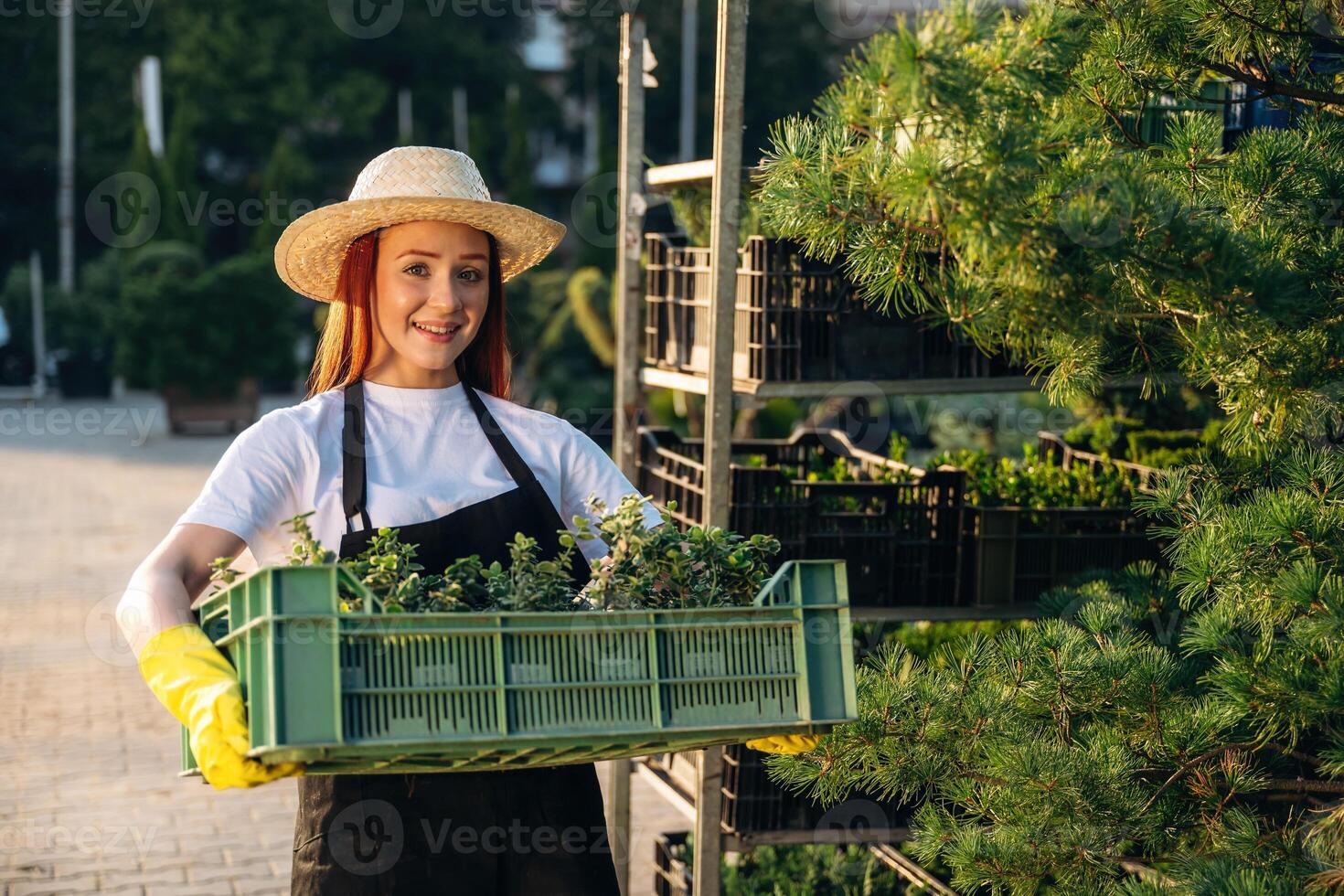 Young redhead ,woman, is taking care of garden photo