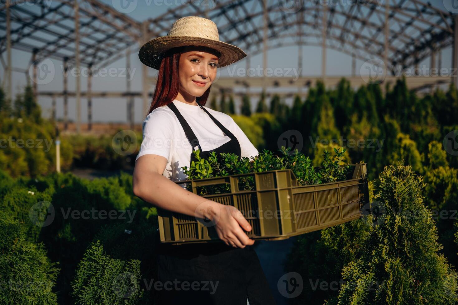 Bunch of plants, in,a plastic box. Young redhead woman is taking care of garden photo