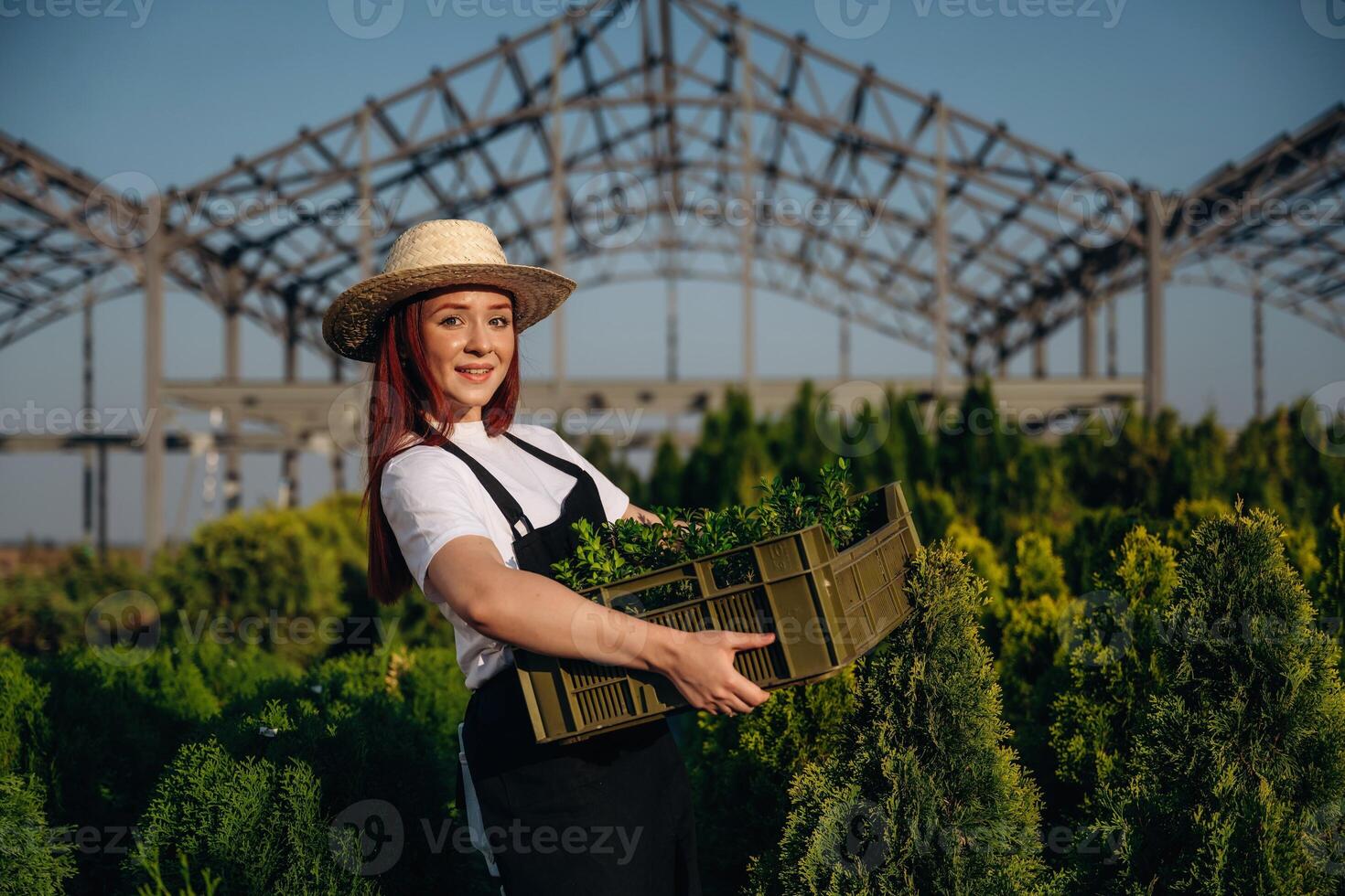 Side, view, holding ,box with plants. Young redhead woman is taking care of garden photo