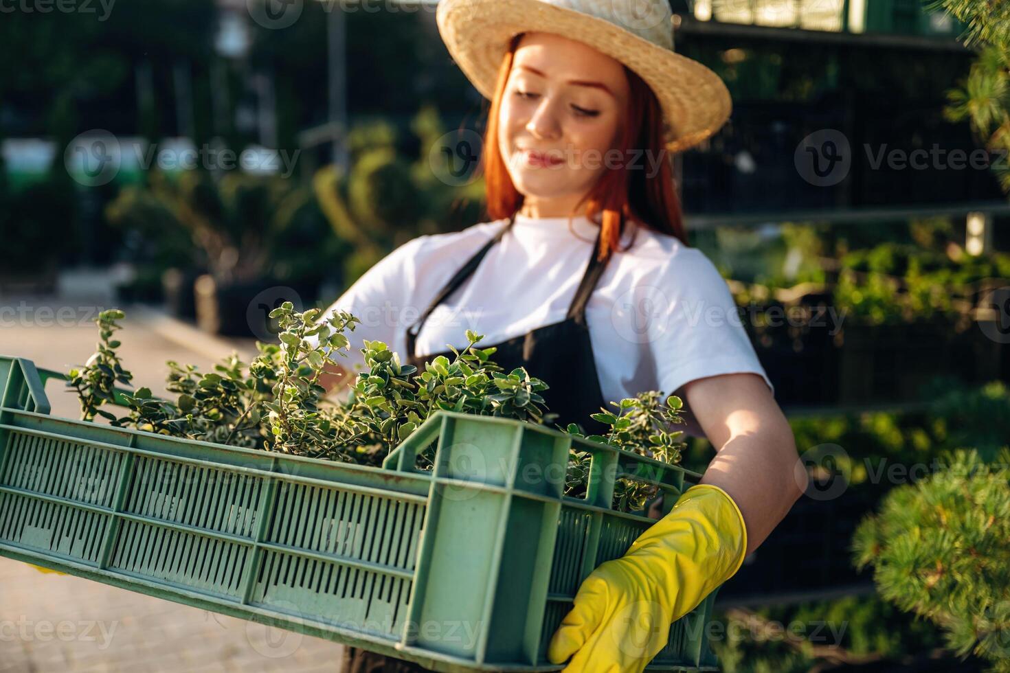 Under the ,sunlight, holding plants. Young redhead woman is taking care of garden photo