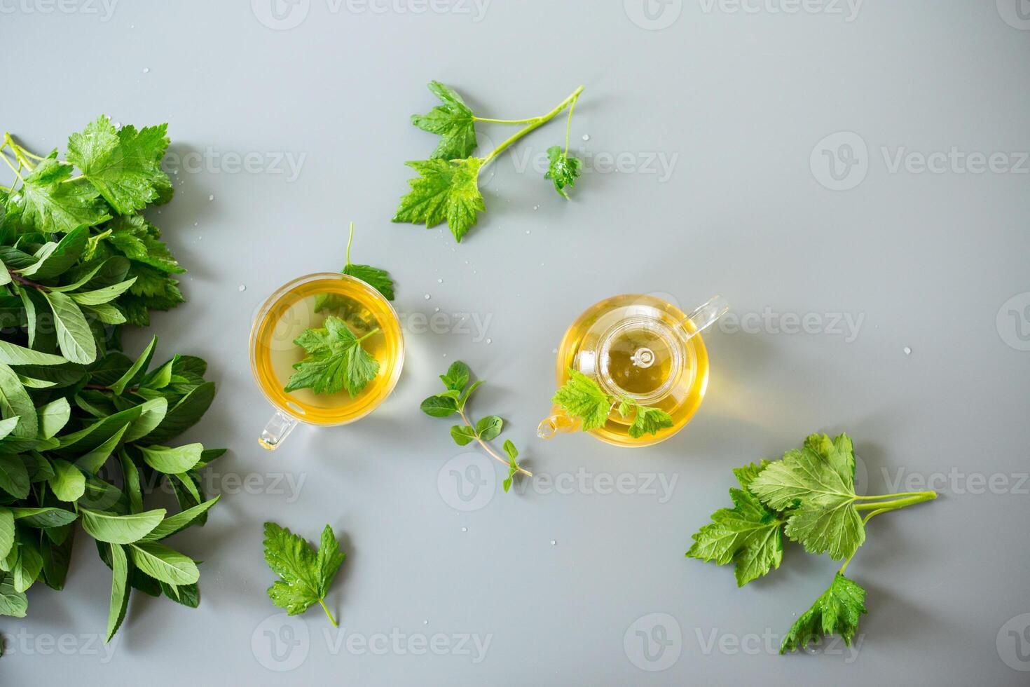 Herbal infusion of mint and currant on a gray background from above . photo
