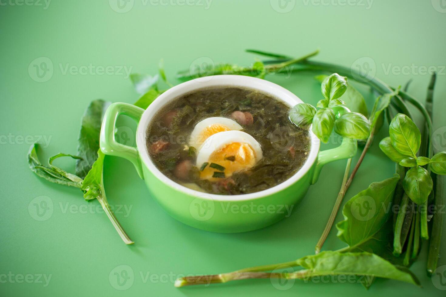 Appetizing spring sorrel borscht isolated on a green background . photo