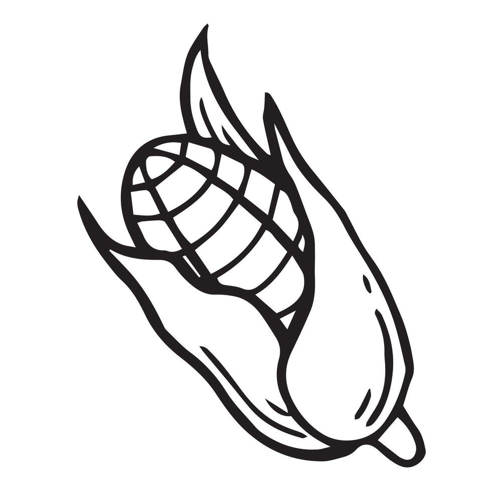 corn cob simple illustration in doodle style vector