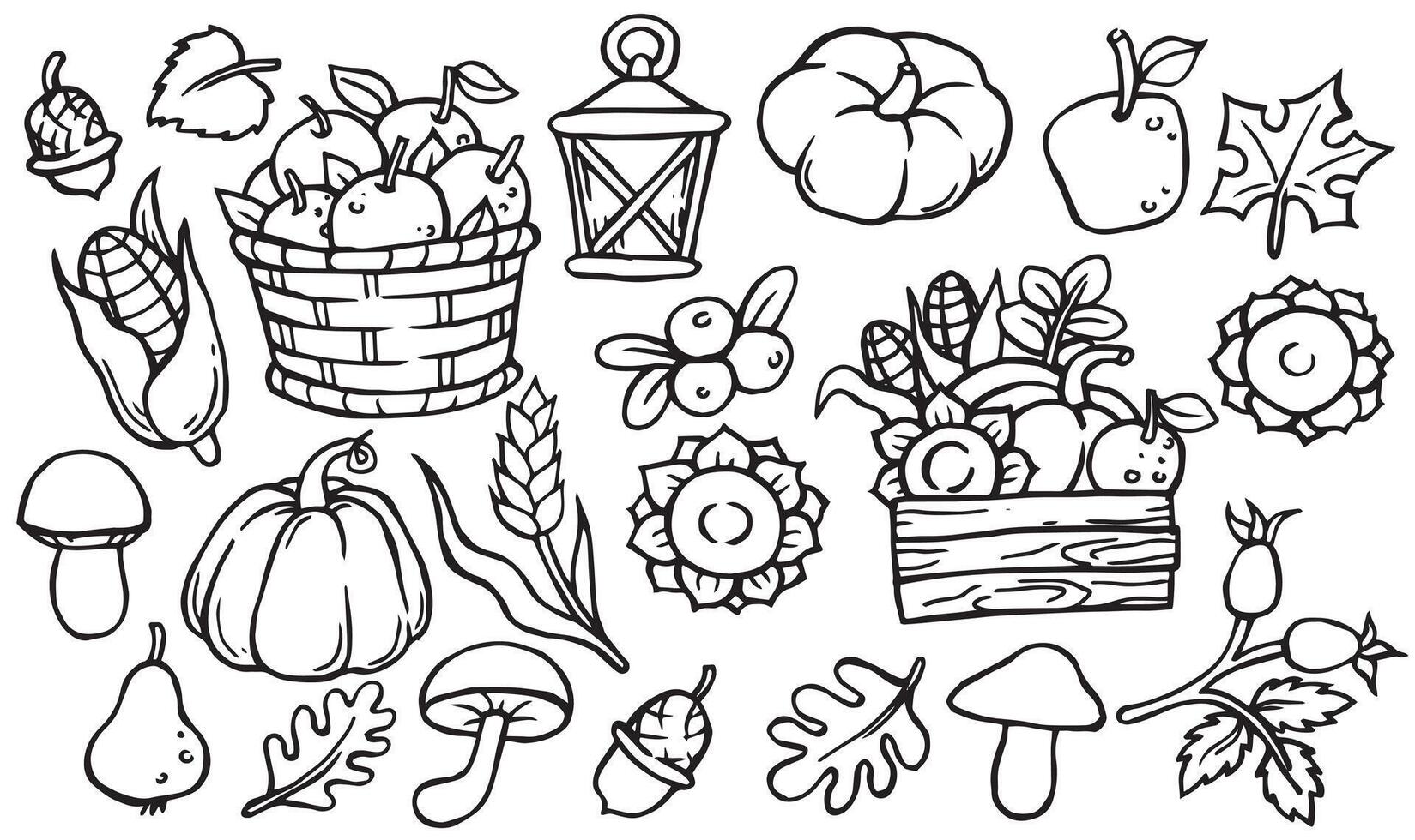 Set of simple illustrations in doodle style on the theme of harvest. Wheat, pumpkin, sunflower vector