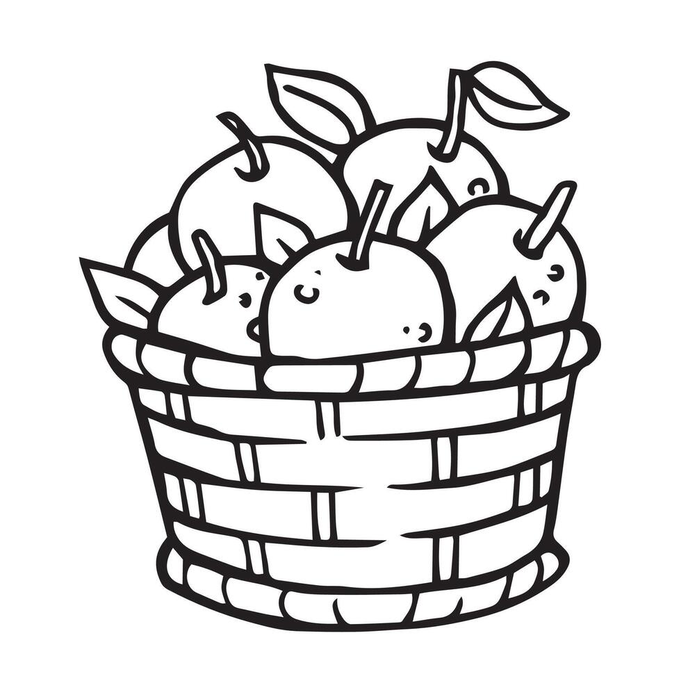 Basket of ripe apples. Doodle style drawing. Harvest festival vector