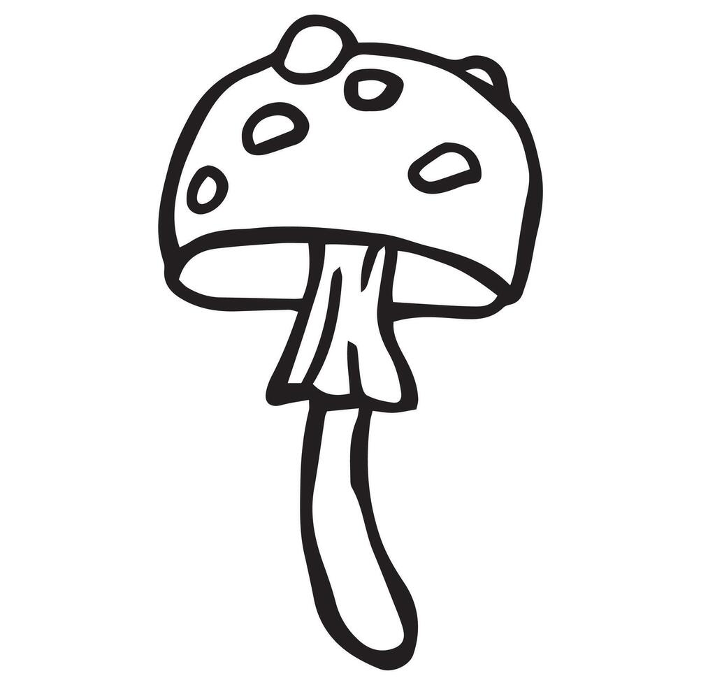 fly agaric mushroom simple illustration in doodle style vector