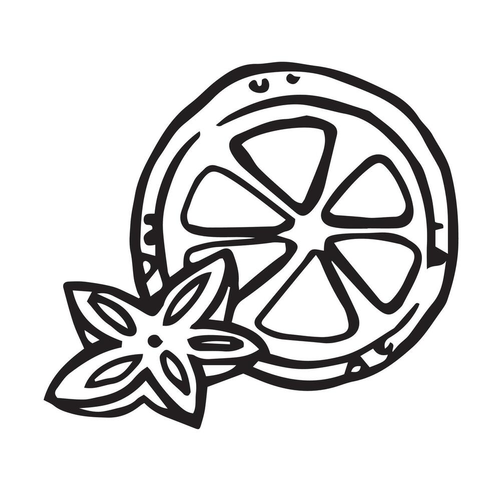 Spices, orange and anise. simple illustration in doodle style. vector