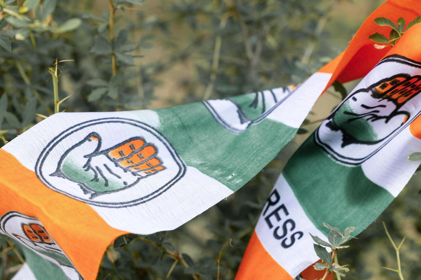 Dharamsala, India 21 june 2024. Flag of The Bharatiya Janata Party BJP photo