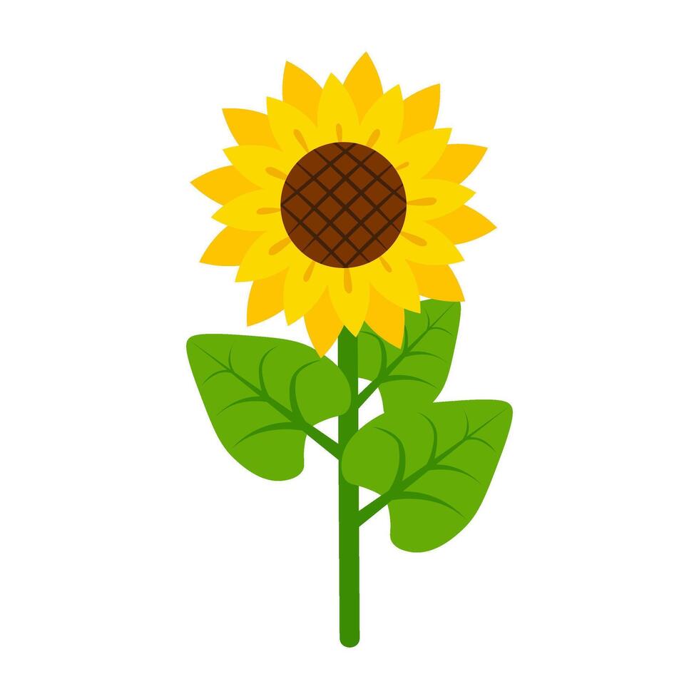 Elegant illustration of vibrant sunflower with a detailed center and lush green leaves. Perfect for nature-themed designs, floral compositions, eco-friendly projects vector