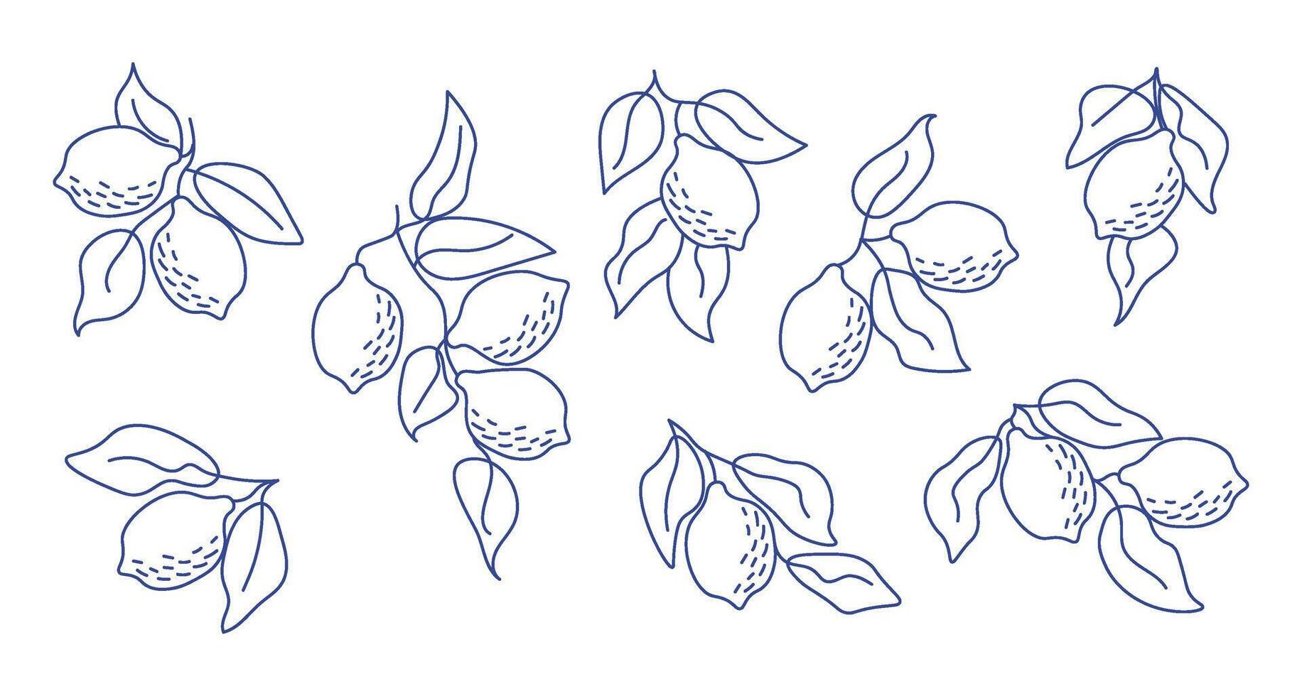 Set of hand-drawn lemon branches in minimal line art style. Perfect for modern aesthetics, botanical designs, kitchen decor, packaging, fabric patterns, summer-themed projects vector