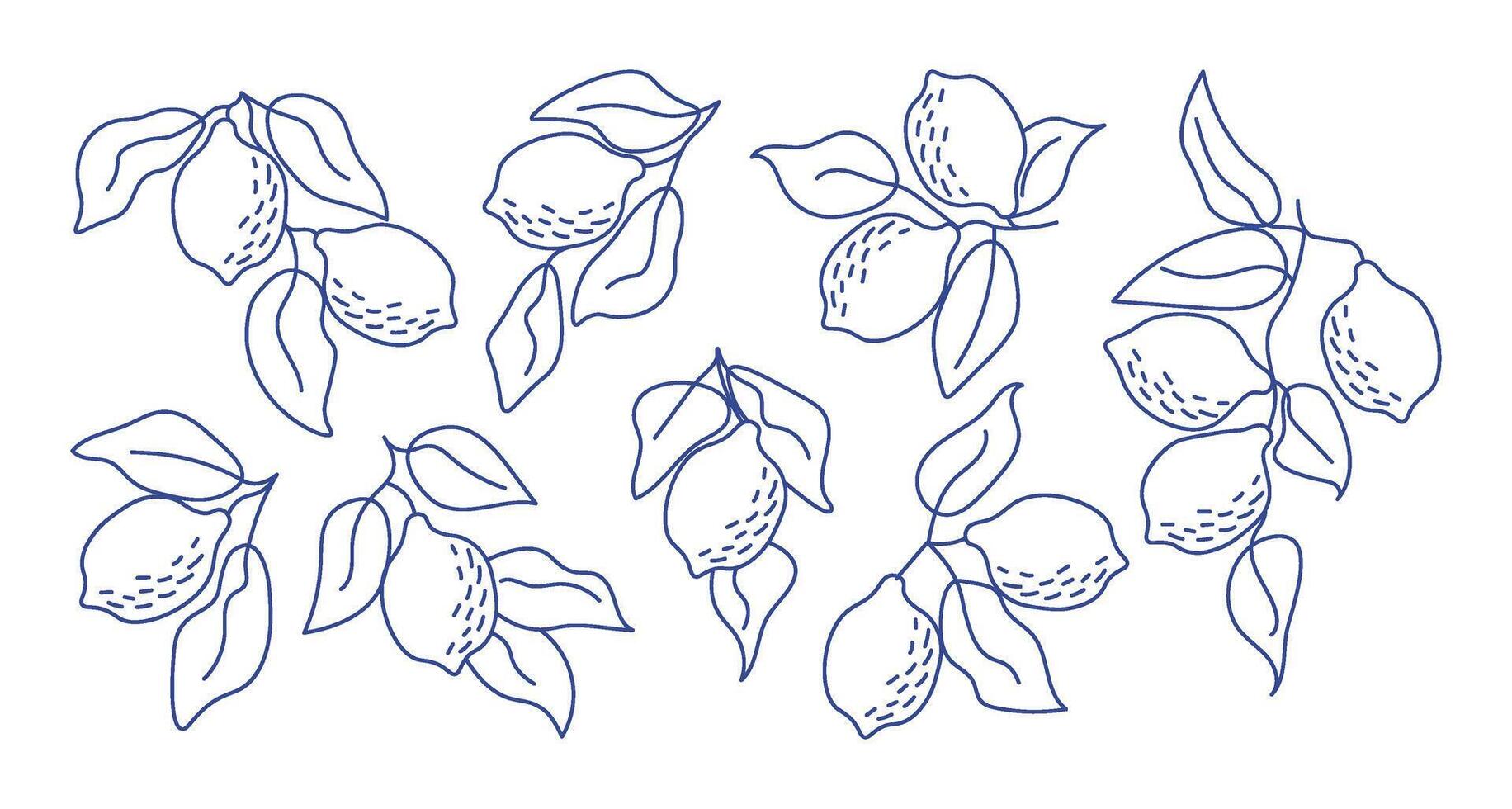 Set of hand-drawn lemon branches in minimal line art style.Perfect for modern aesthetics, botanical designs, kitchen decor, packaging, fabric patterns, summer-themed projects vector