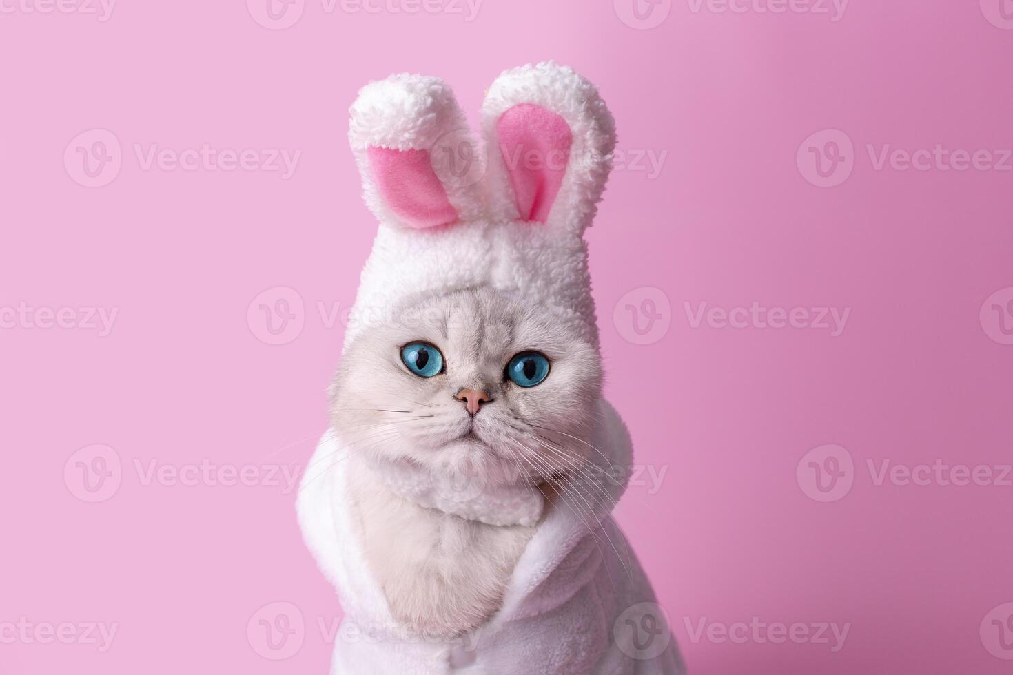 Funny white cat in a hat with bunny ears, in a white coat, on a pink background,close up photo