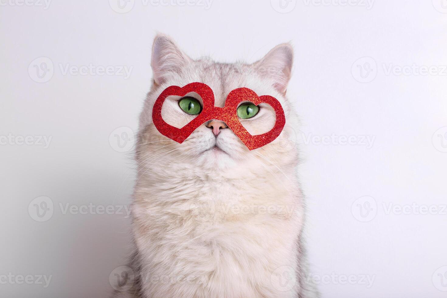 Portrait of a beautiful white cat in a red mask in the form of hearts photo