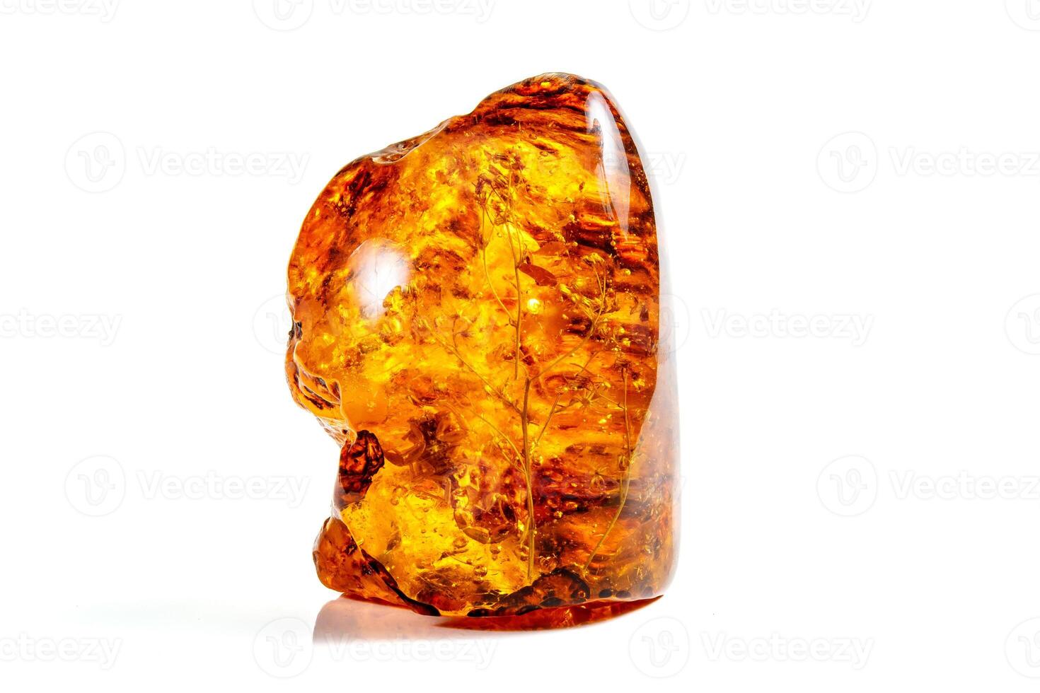 Macro, stone mineral amber with insects, flies and beetles on a white background close up photo