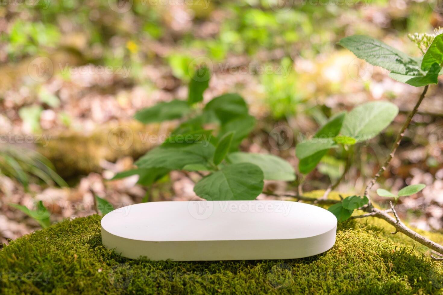 Podium or pedestal for displaying products in lush forest setting with vibrant greenery photo