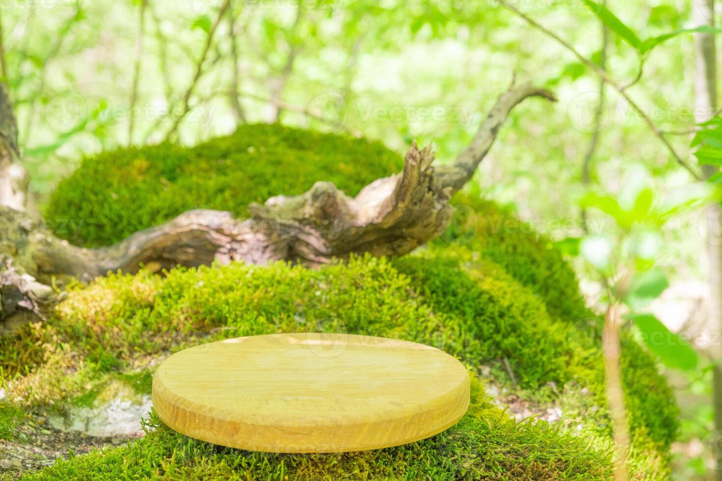 Wooden podium mock up on mossy ground in tranquil forest setting surrounded by greenery photo
