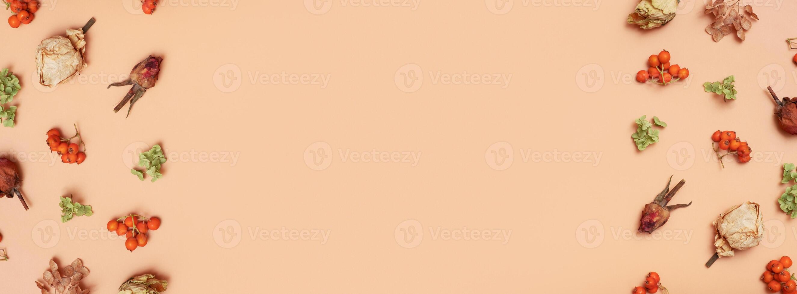 Autumn banner with pattern from dry hydrangea flowers, rowan, roses on orange background photo