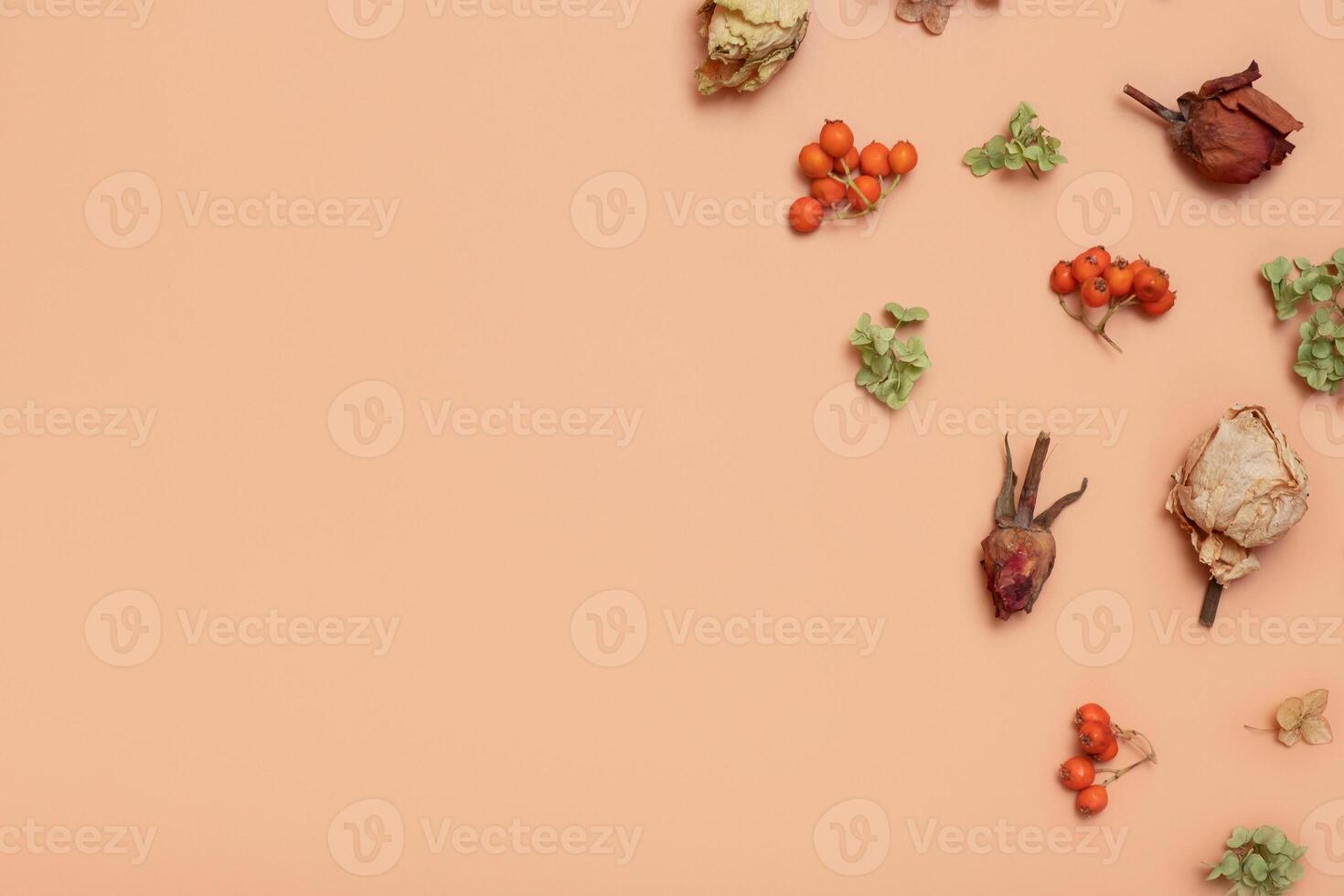 Pattern with dry hydrangea flowers, rowan, roses on orange colored background. Top view, flat lay photo