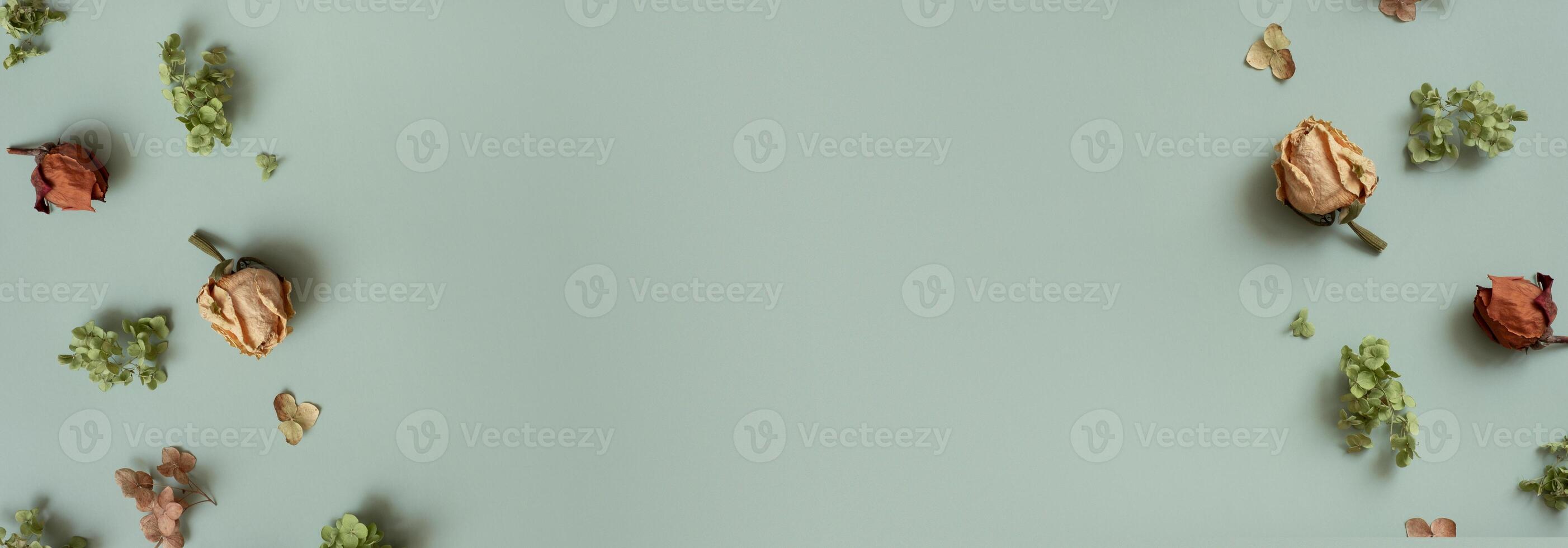 Autumn banner composition flat lay with pattern from dried hydrangea flowers, roses and petals on colored background photo